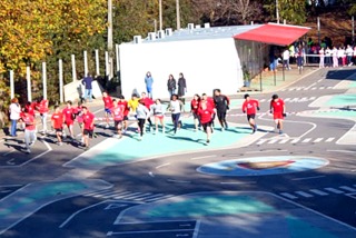 2013cortamato