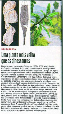 13900640 10154422329834771 178823358 n 002