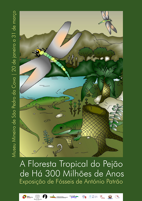 FlorestaTropicalDoPejão