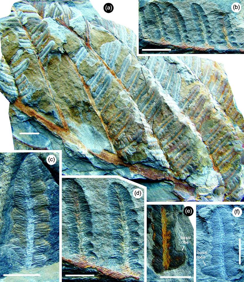 35552165 10216221955520131 422688837068652544 n