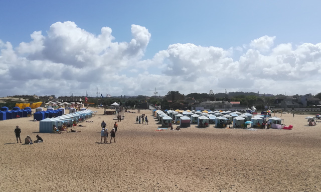 IMG 20190729 111859 001