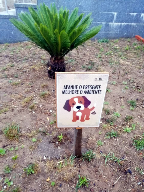 71088950 433403407294357 3080754181422710784 n