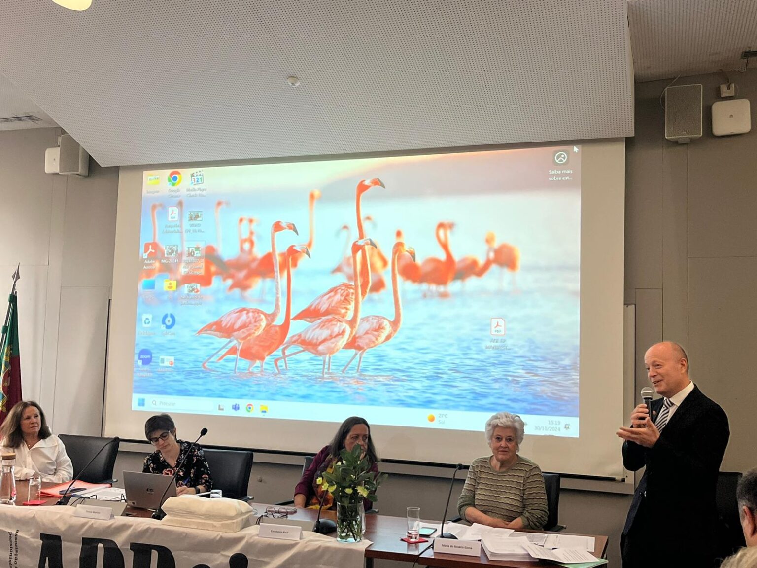 WhatsApp Image 2024 11 05 at 17.19.36