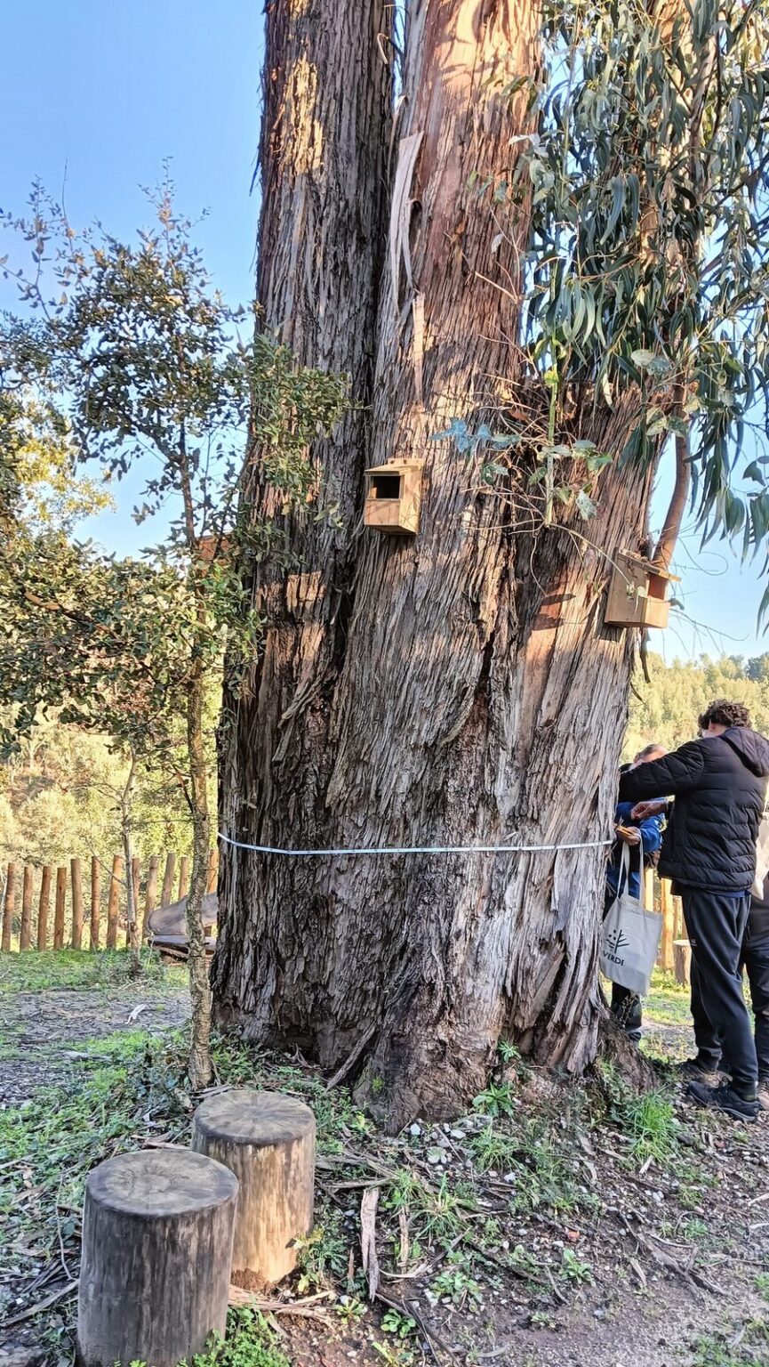 475509735 595606679744185 7814472564327640787 n