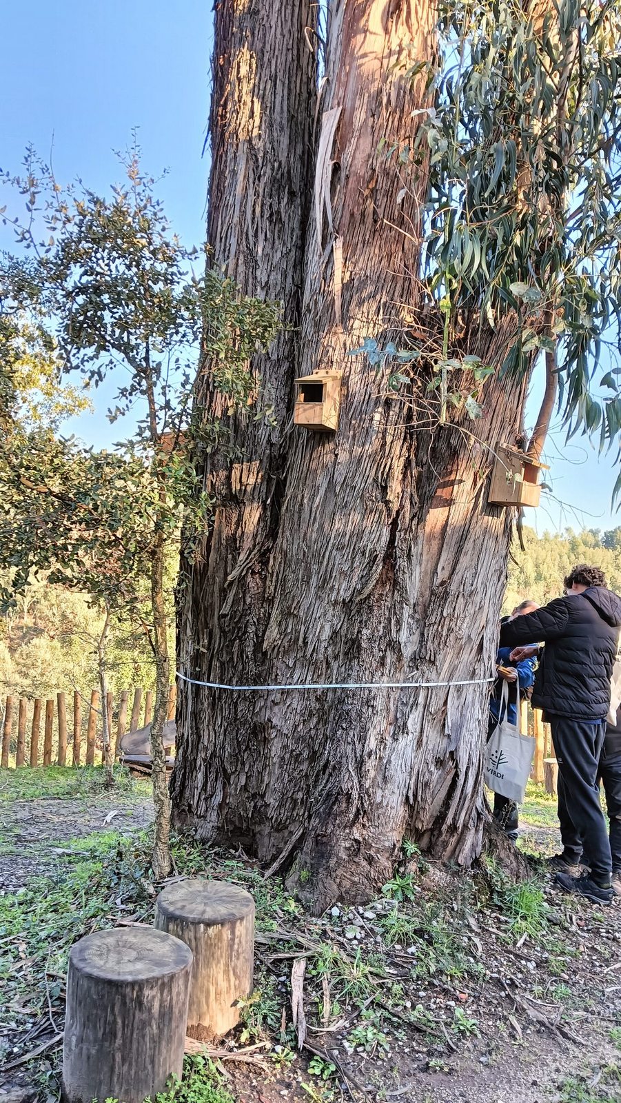 475509735 595606679744185 7814472564327640787 n